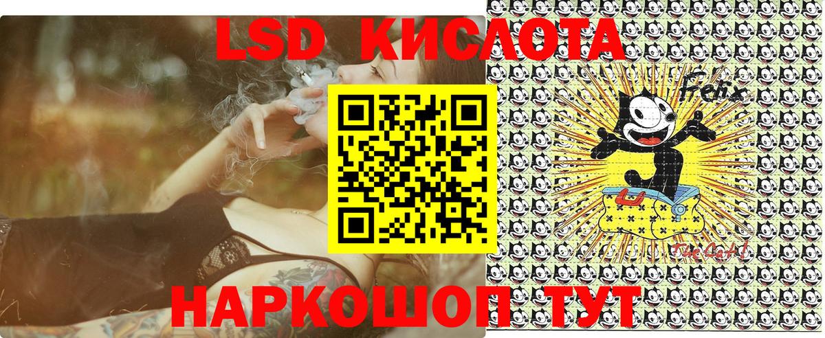 Псилоцибиновые грибы Феодосия