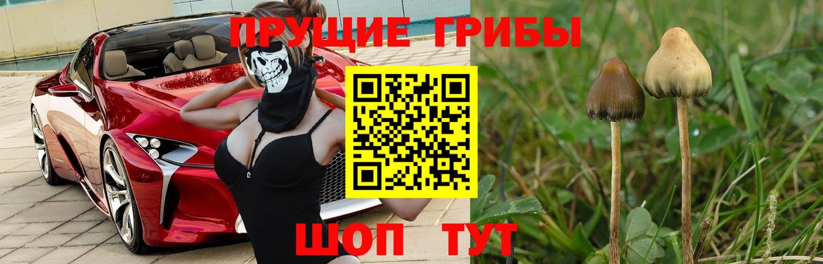 Псилоцибиновые грибы ЛСД Феодосия